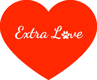 extra-love